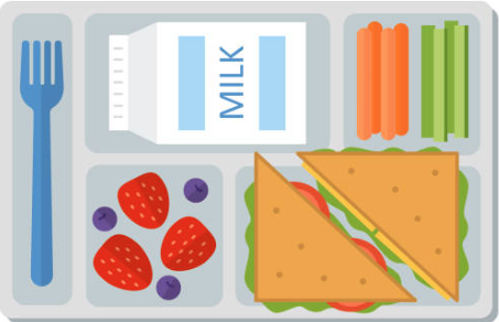  lunch tray